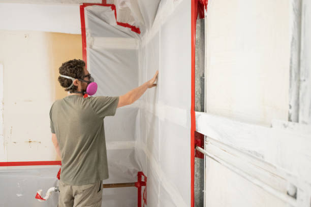 Best Mold Damage Restoration  in Marion, SC