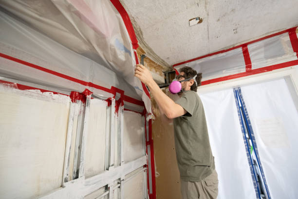 Best Basement Mold Removal  in Marion, SC