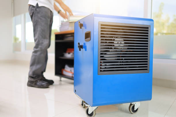 Best Airborne Mold Testing  in Marion, SC
