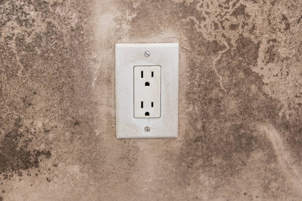 Best Dehumidification Services  in Marion, SC